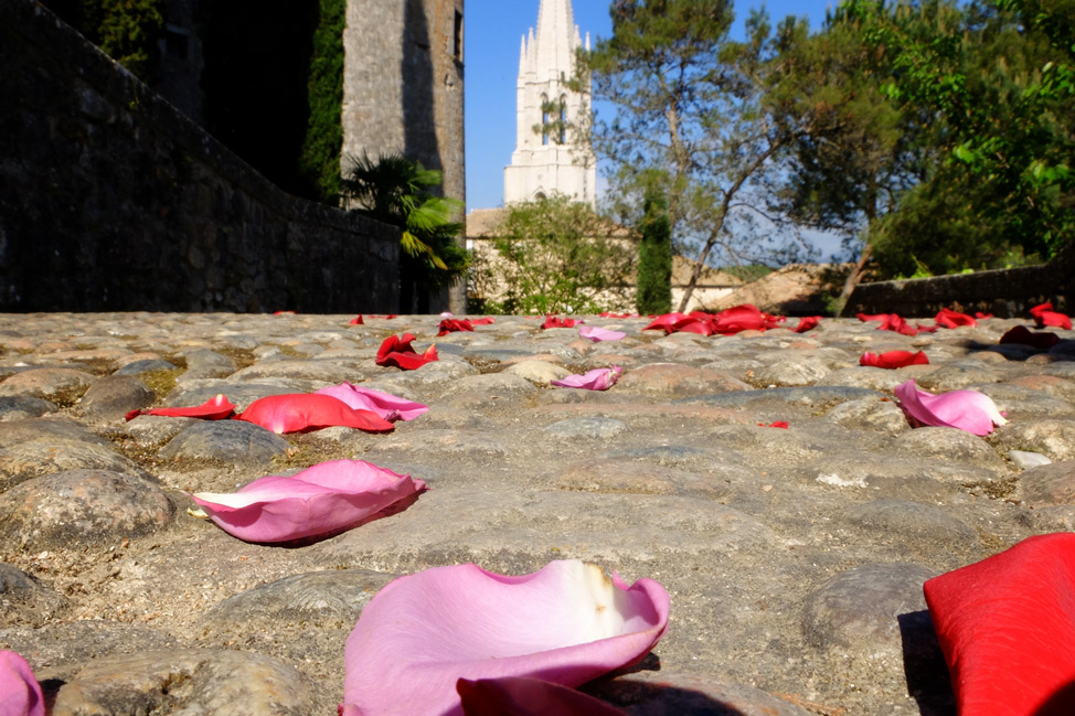 Rose petals on the streets of Girona, Spain