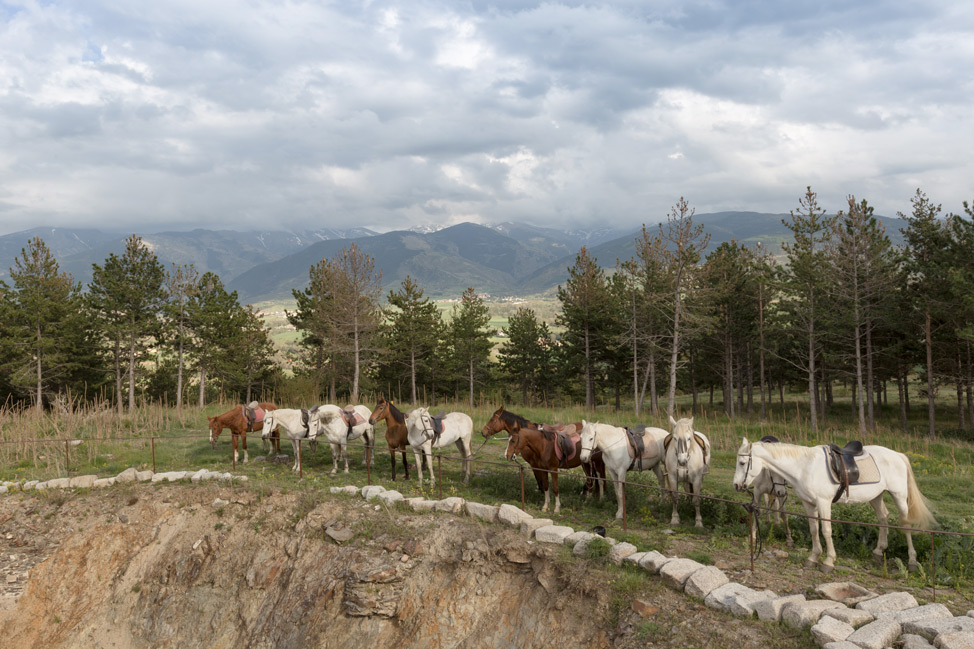 Pyrenees Horse Ride