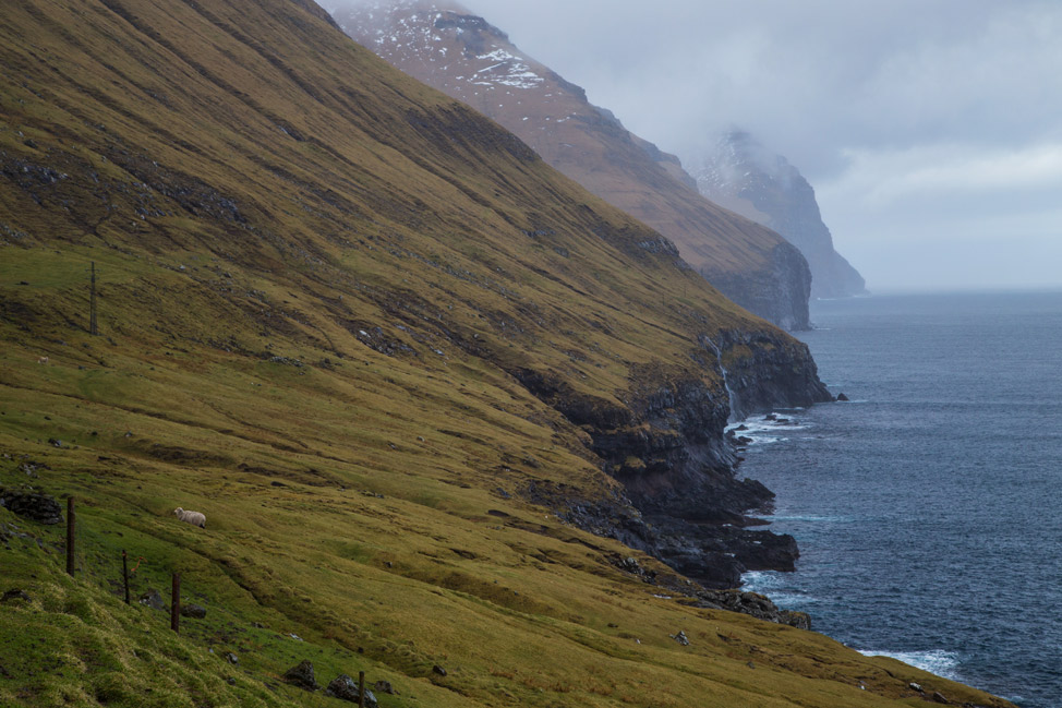 Kalsoy Coastline