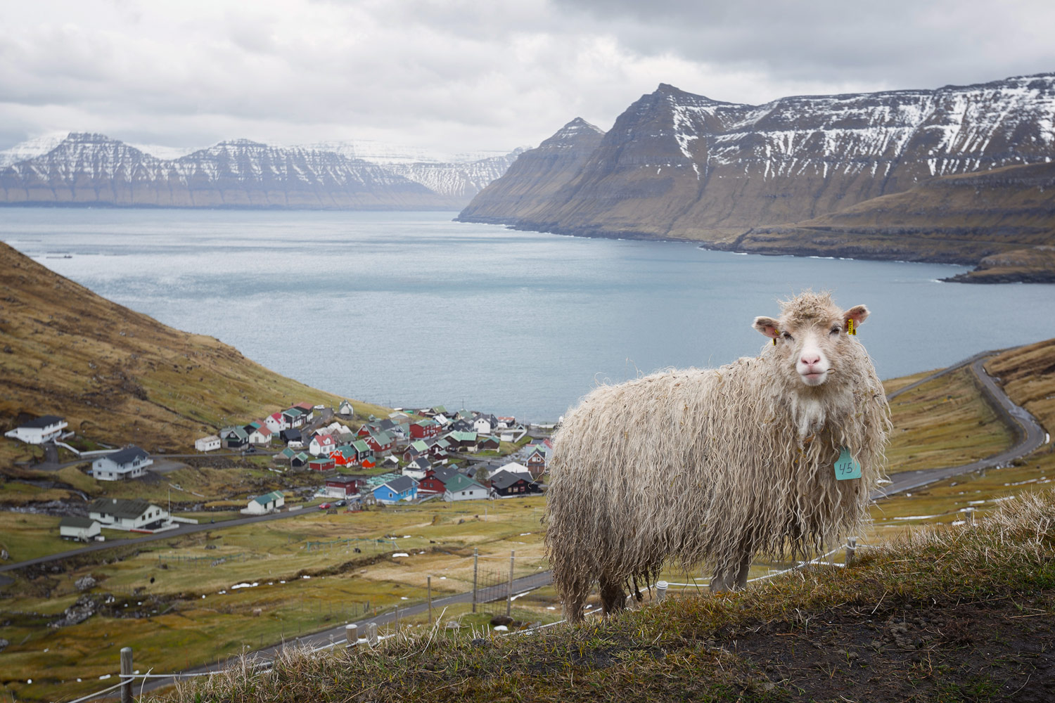 Faroe Postcards - Feature