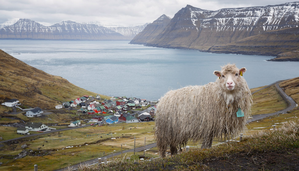 Postcards from The Faroe Islands thumbnail