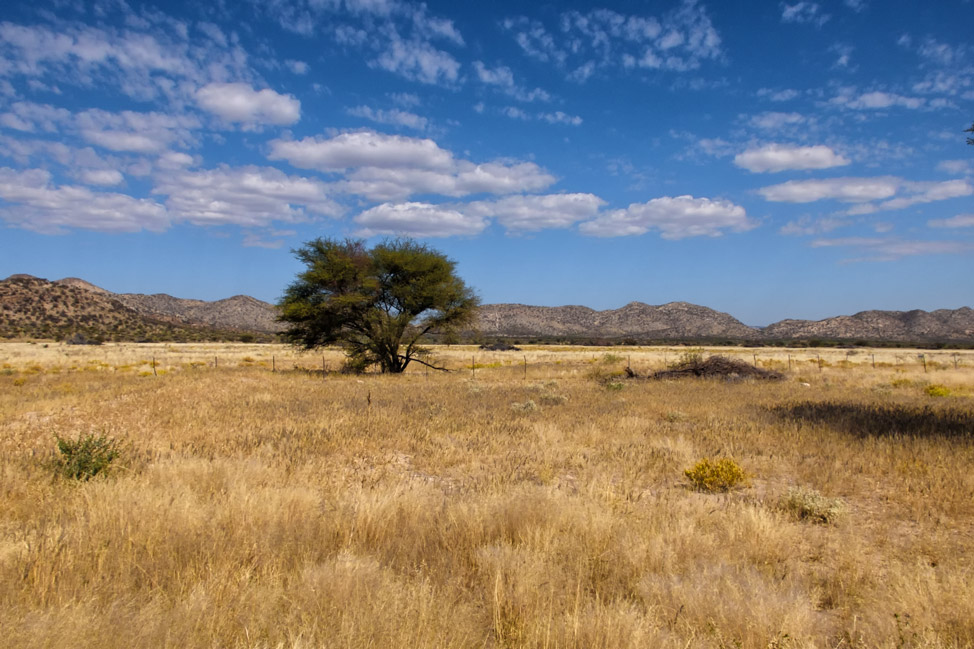 Namibia Drive