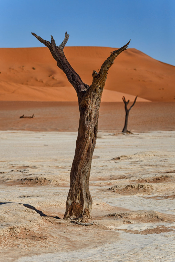 Deadvlei Models