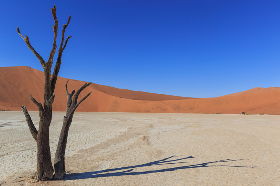 Deadvlei Namibia