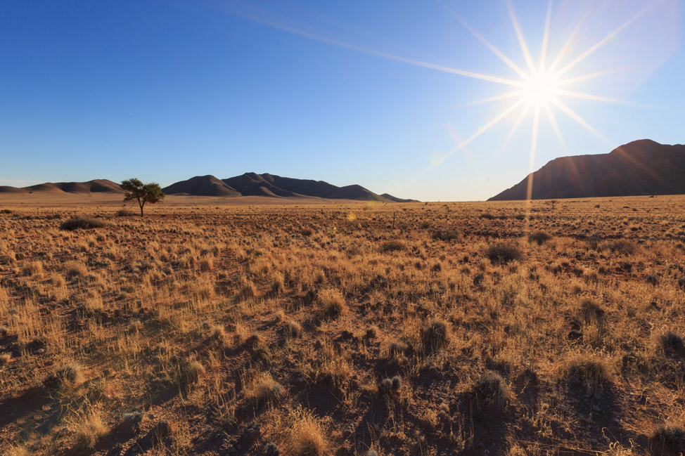 Namib Desert Scenery