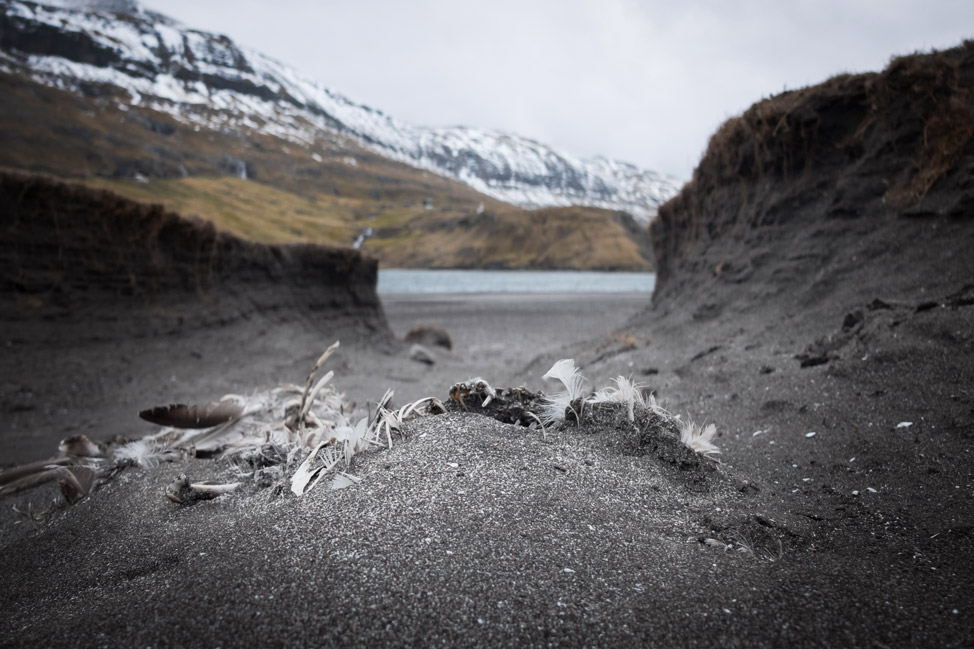 Bones at Saksun