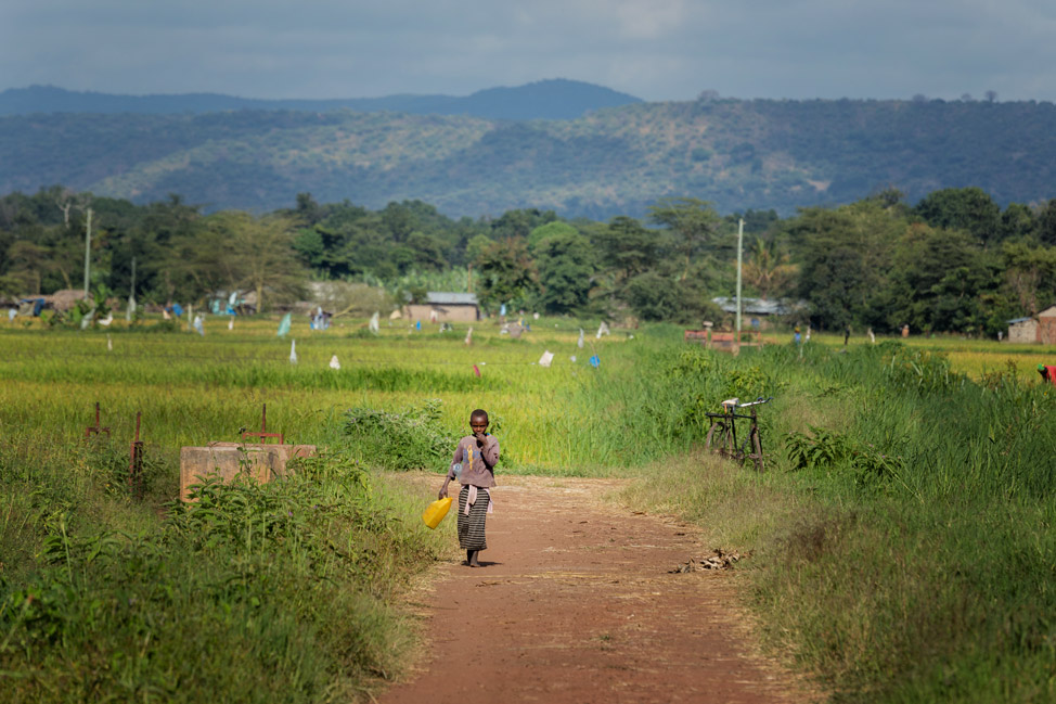 Tanzania Countryside