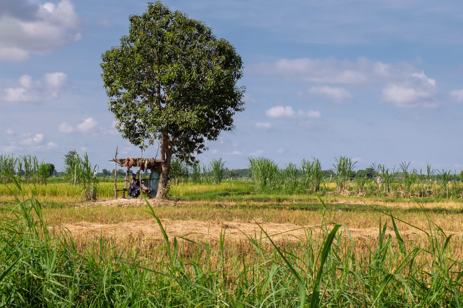 Into Tanzania Feature