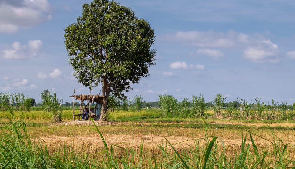 This is Tanzania thumbnail