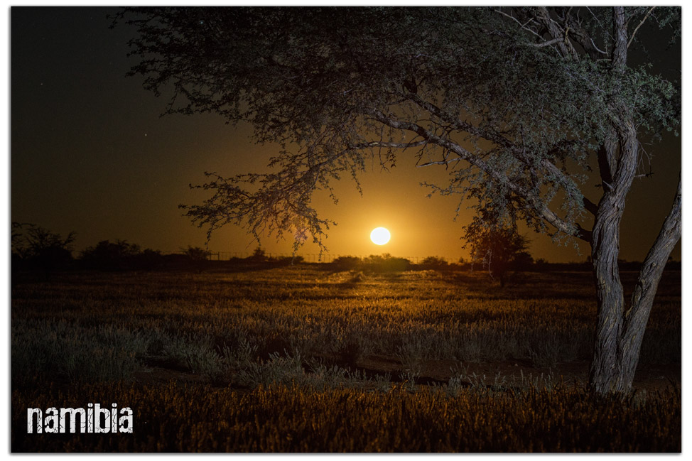 Namibia-Postcards-018