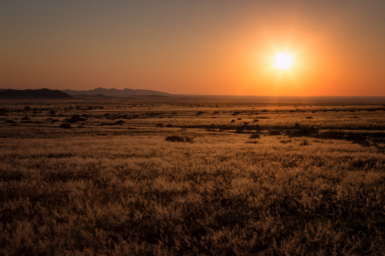 Postcards from Namibia