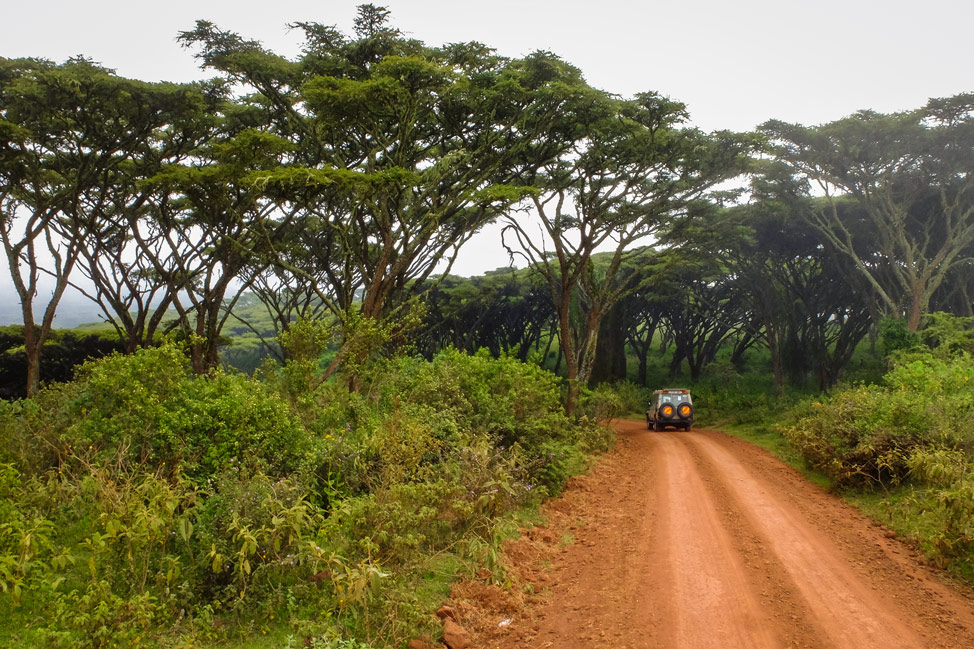 Ngorogoro Crater Rim