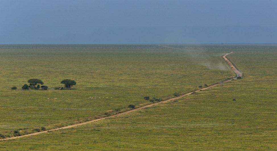 Serengeti Roads