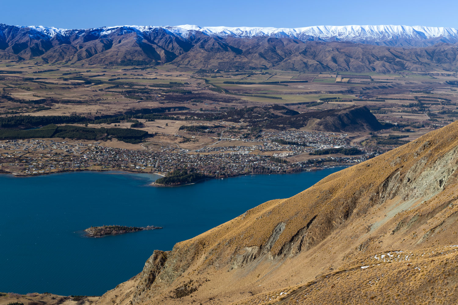 Wanaka Feature