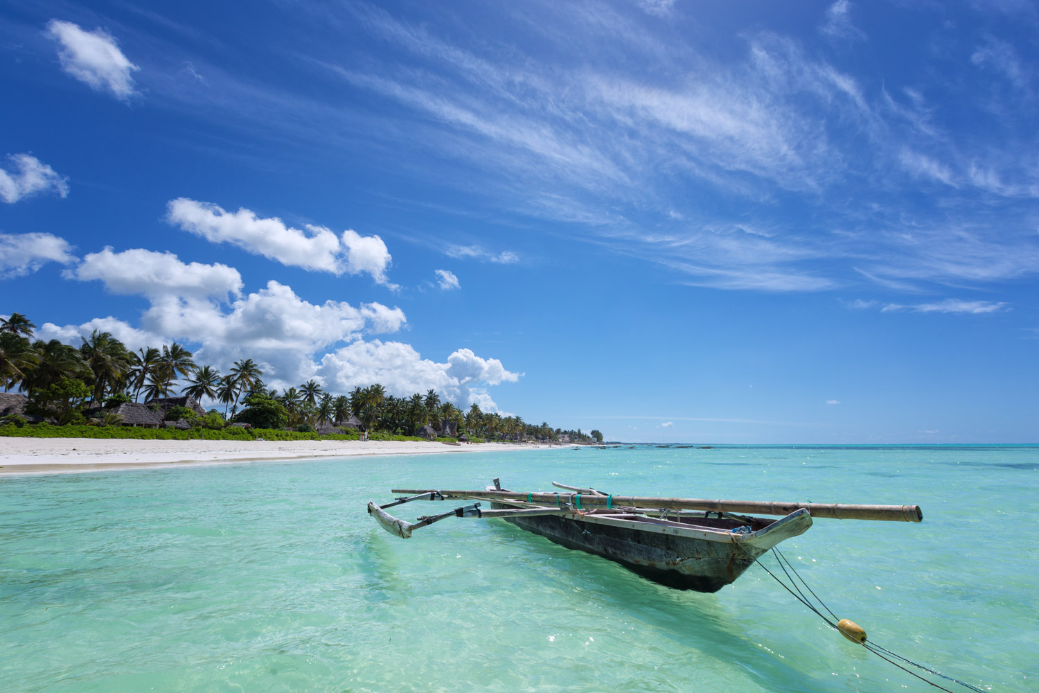 From Zanzibar: Tales of an Introvert