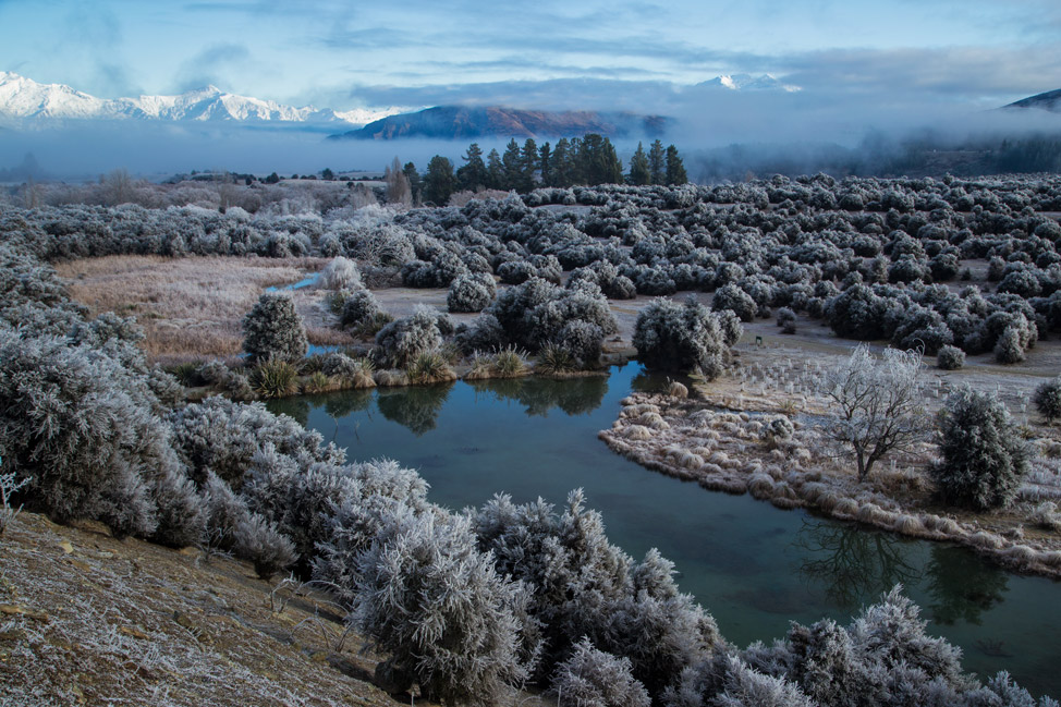 Butterfields Wetlands