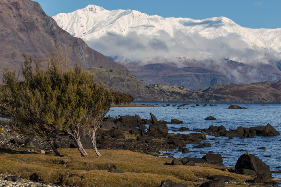 Beacon Point Wanaka