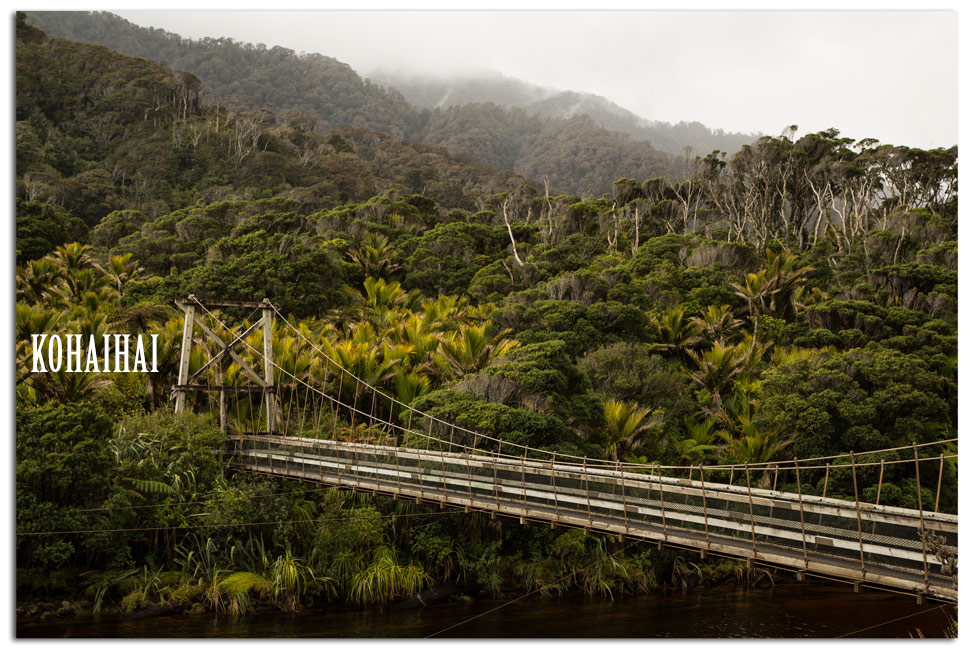 Kohaihai Track to Scotts Beach