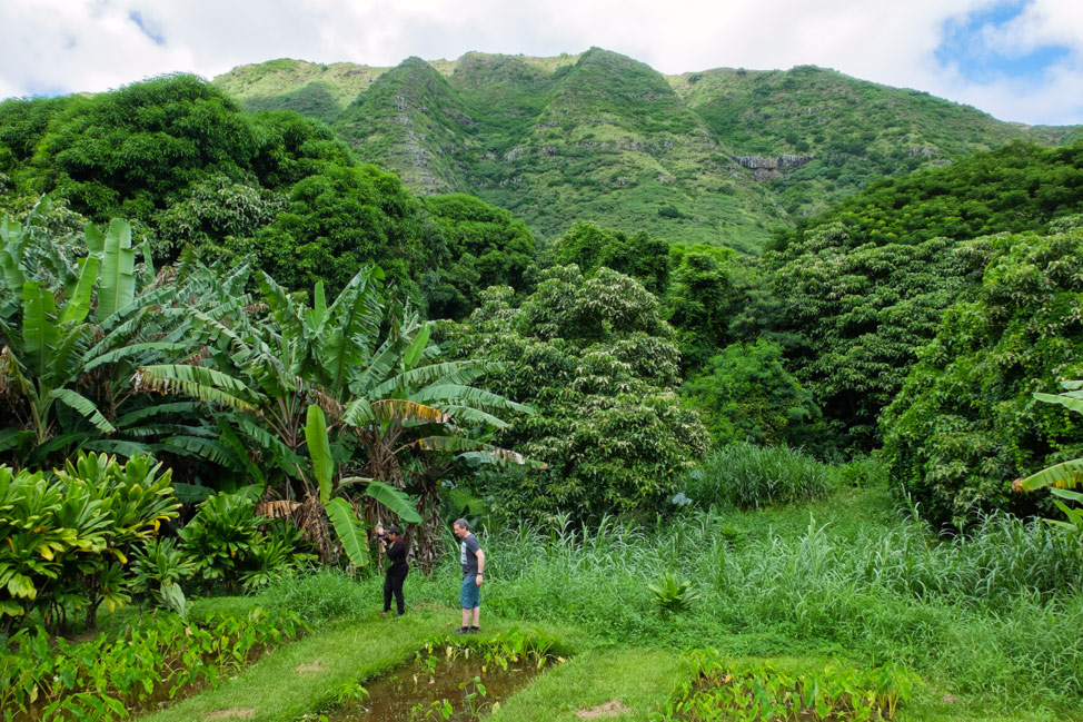 Molokai-Halawa-Valley-013