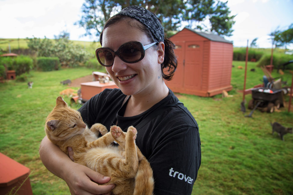 Welcome Committee at Lanai Cat Sanctuary
