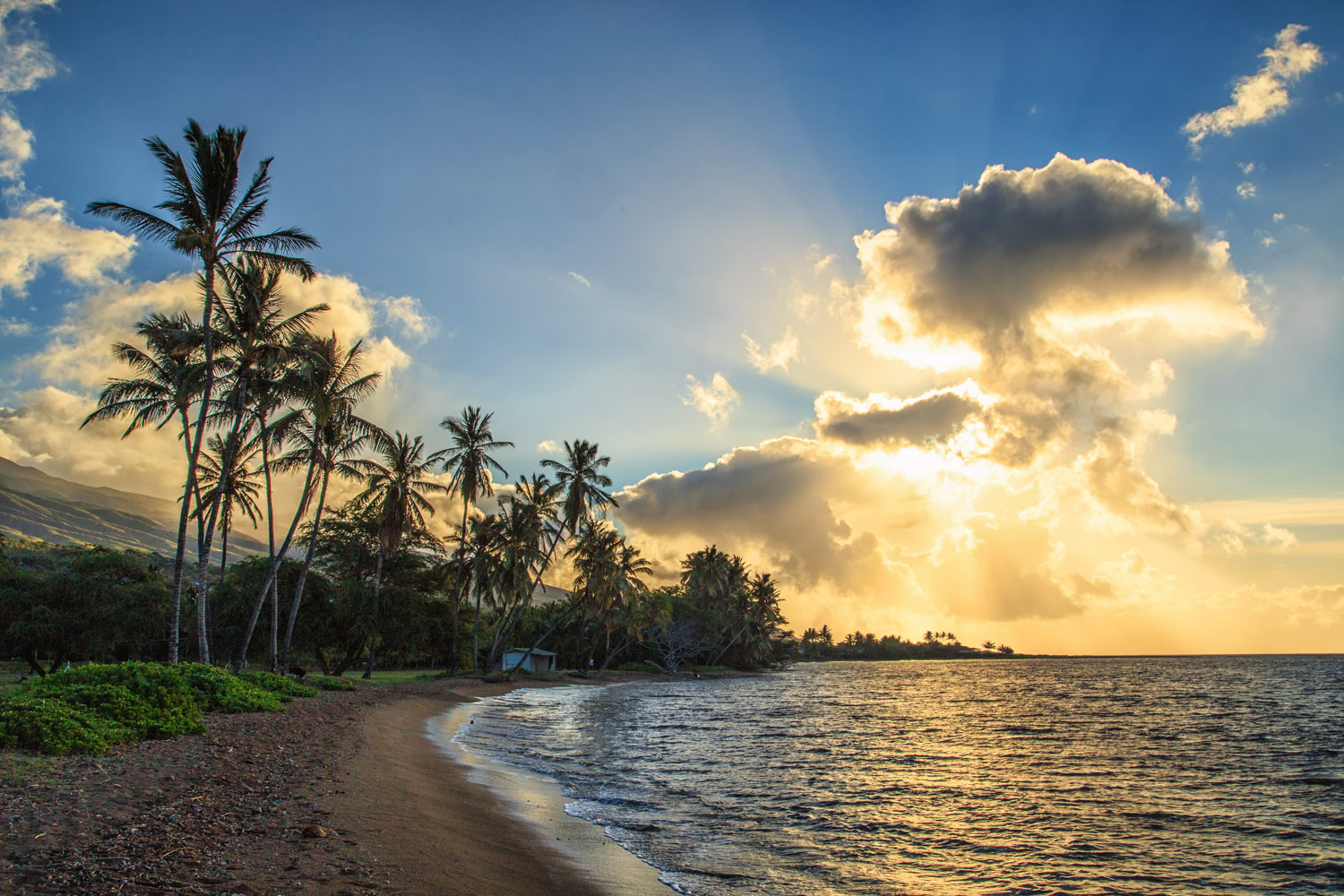 Postcards from Hawaii