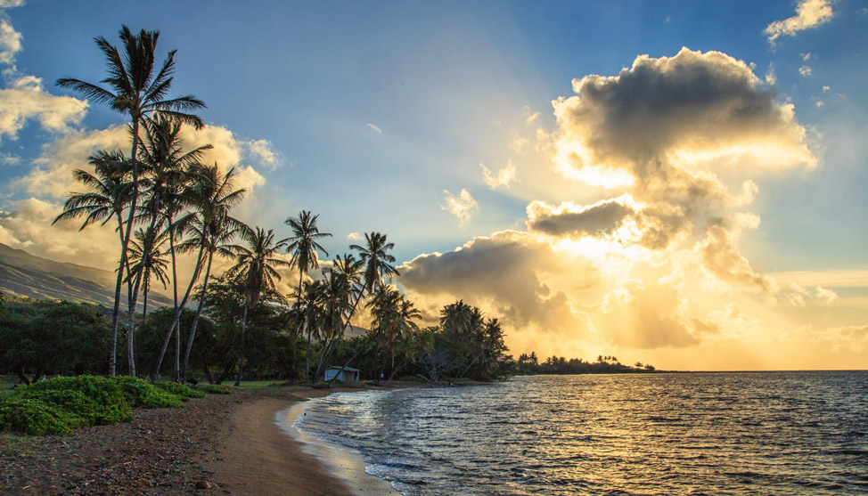 Postcards from Hawaii thumbnail