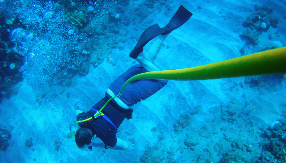Going Under: Snuba in Lanai thumbnail