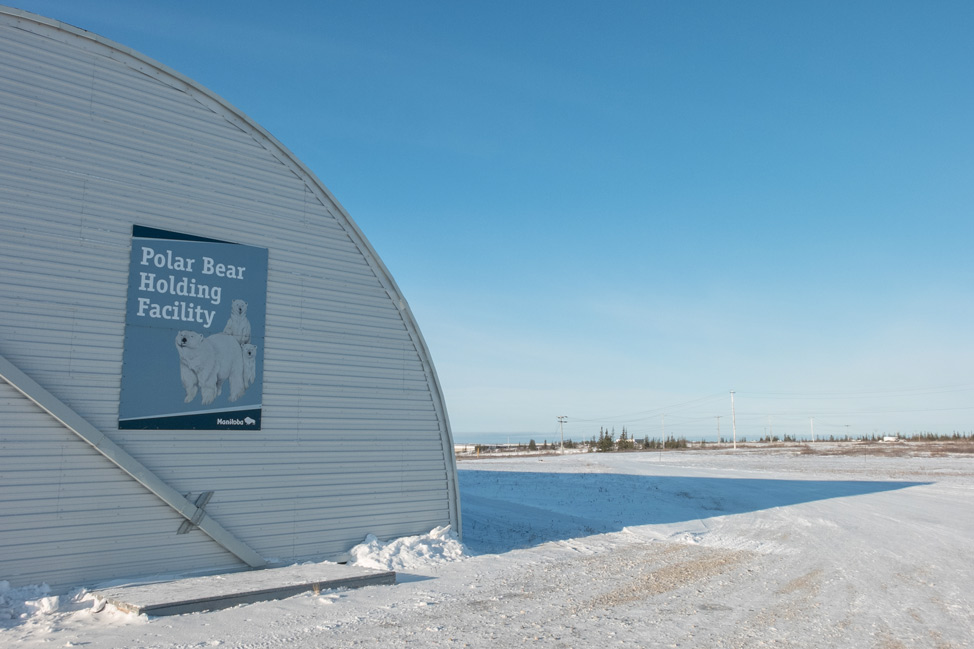 Polar Bear Holding Facility - Churchill, Manitoba