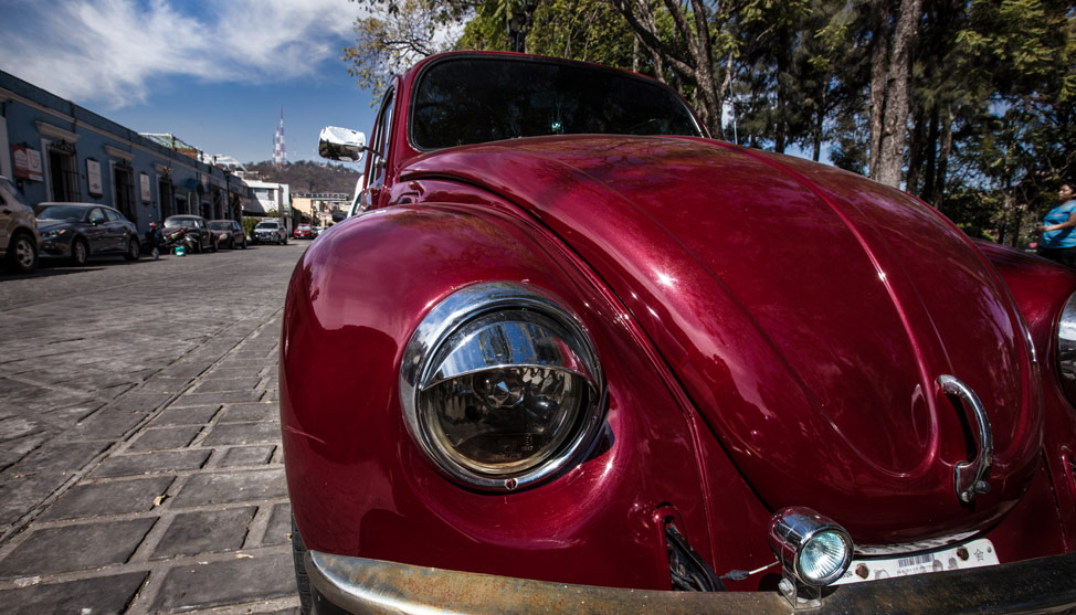 Beetlemania, in Photos thumbnail