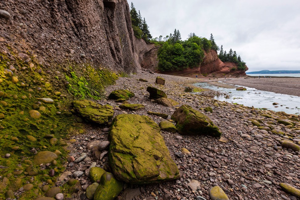 Bay of Fundy, New Brunswick