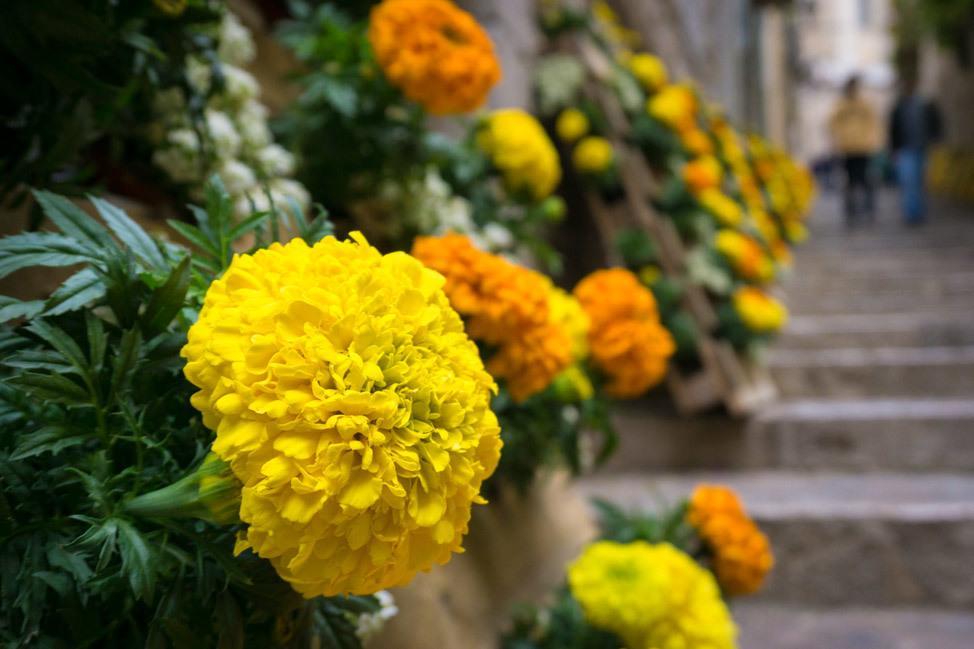 Temps de Flors Yellow and Orange