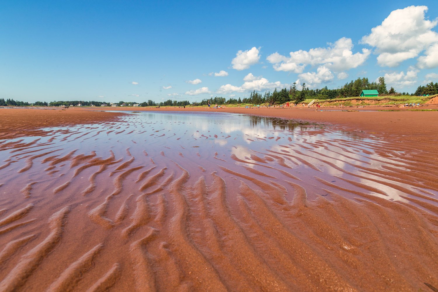 Chelton Beach Provincial Park - Feature Image