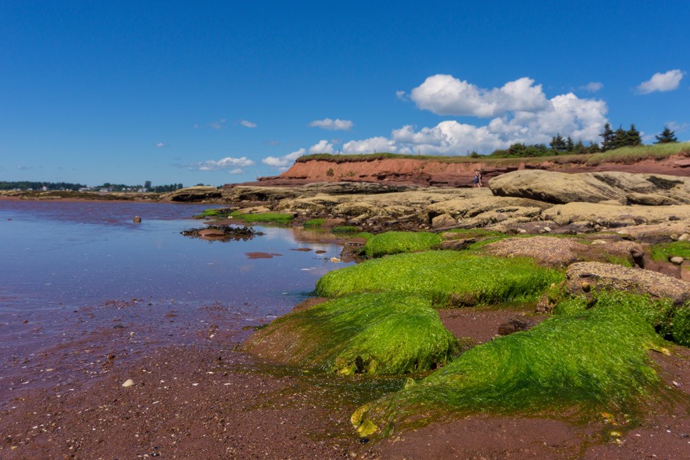 PEI beaches have such beautiful colours - red, green and blue all are so vibrant