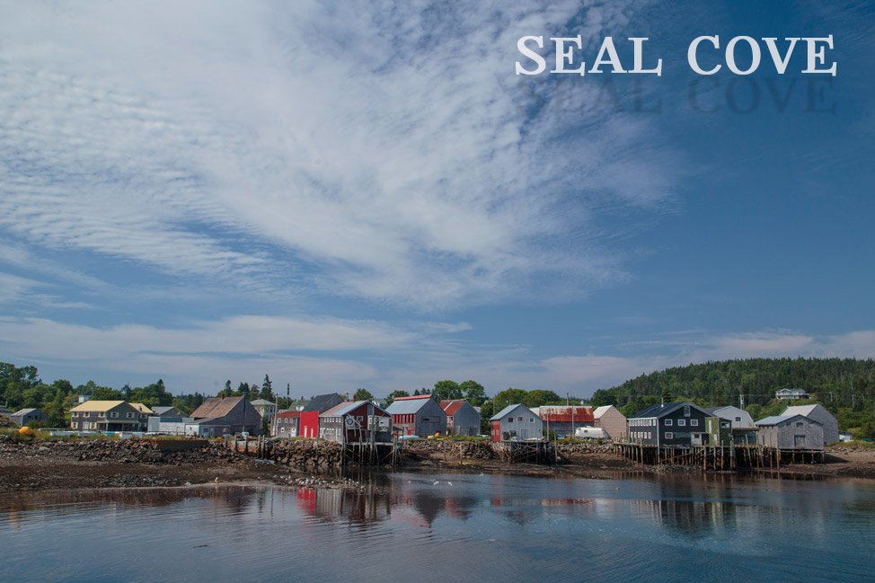 Grand Manan Seal Cove