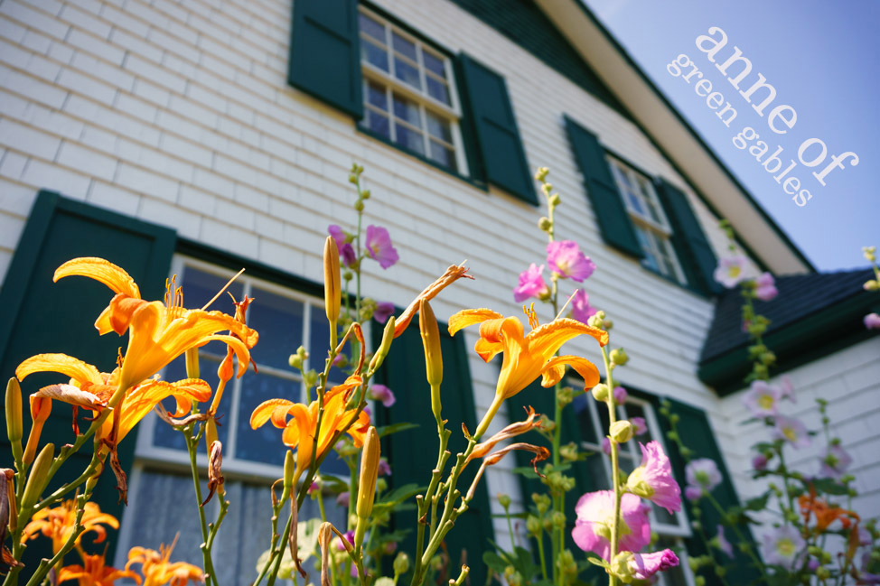 Anne-of-Green-Gables