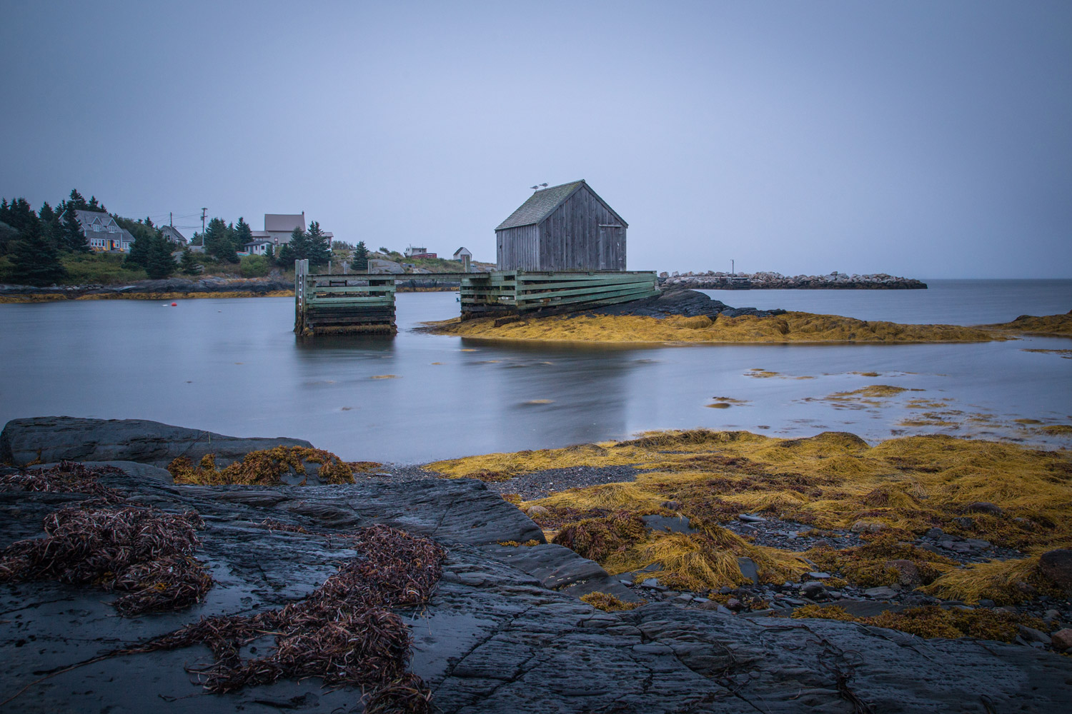 Blue Rocks Foggy Morning Feature