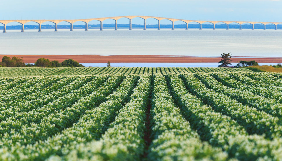 Postcards from Prince Edward Island thumbnail