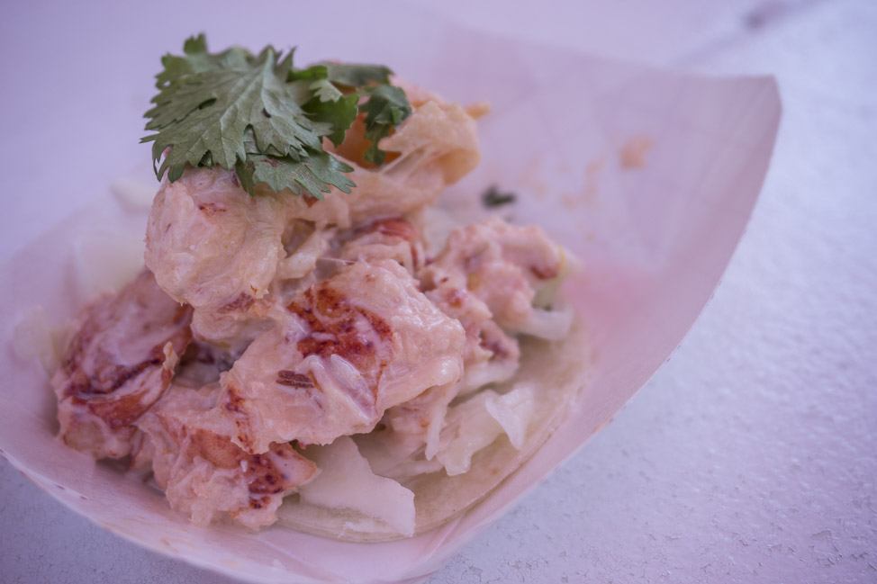 Dave's Lobster - Lobster Tacos
