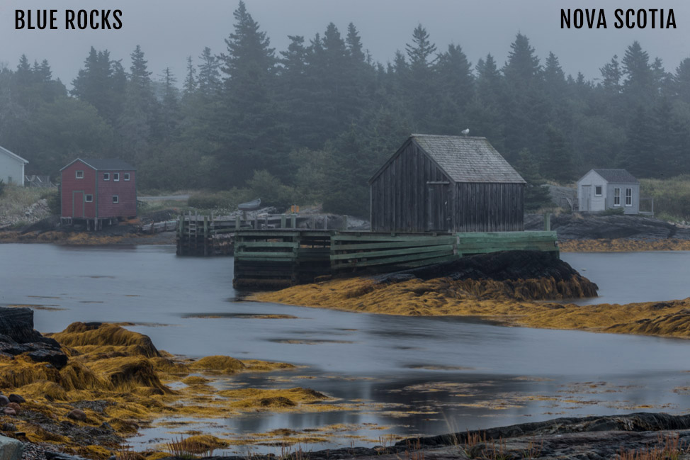 Blue Rocks in Fog - Nova Scotia