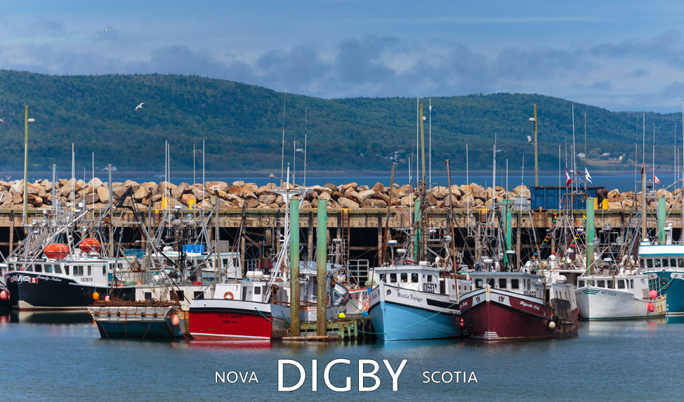 Digby Harbour - Nova Scotia