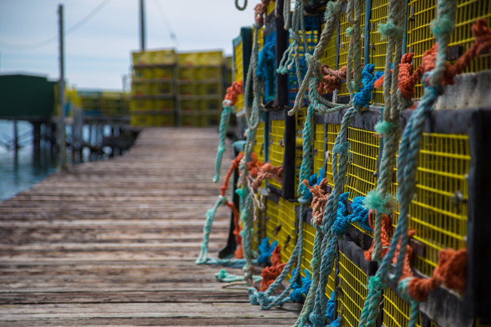 Lobster-Trap-Storage