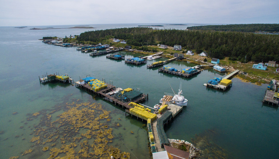 In the Tusket Islands thumbnail