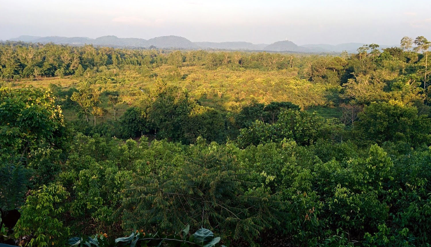 Housesitting Deep in the Jungle of Sri Lanka thumbnail