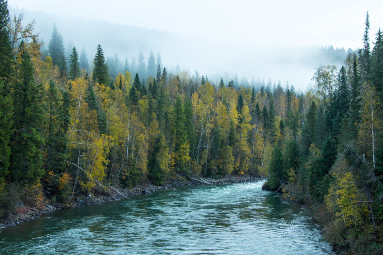 Finding Gold in the Cariboo Mountains – A Photo Journey