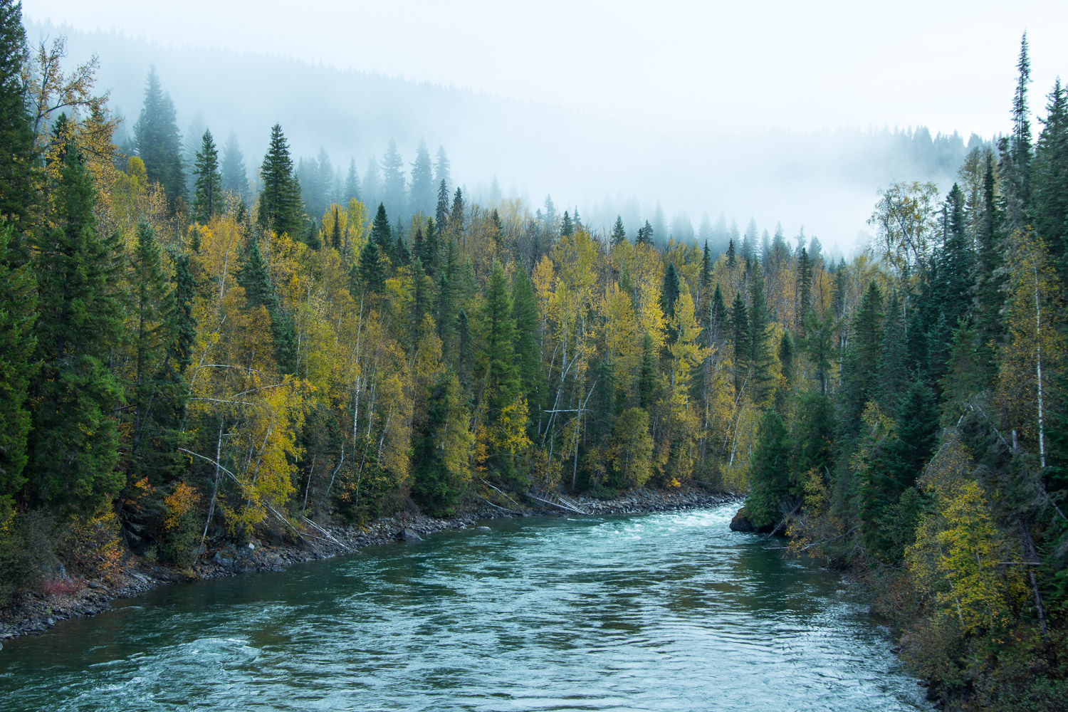 River Wild Cariboo