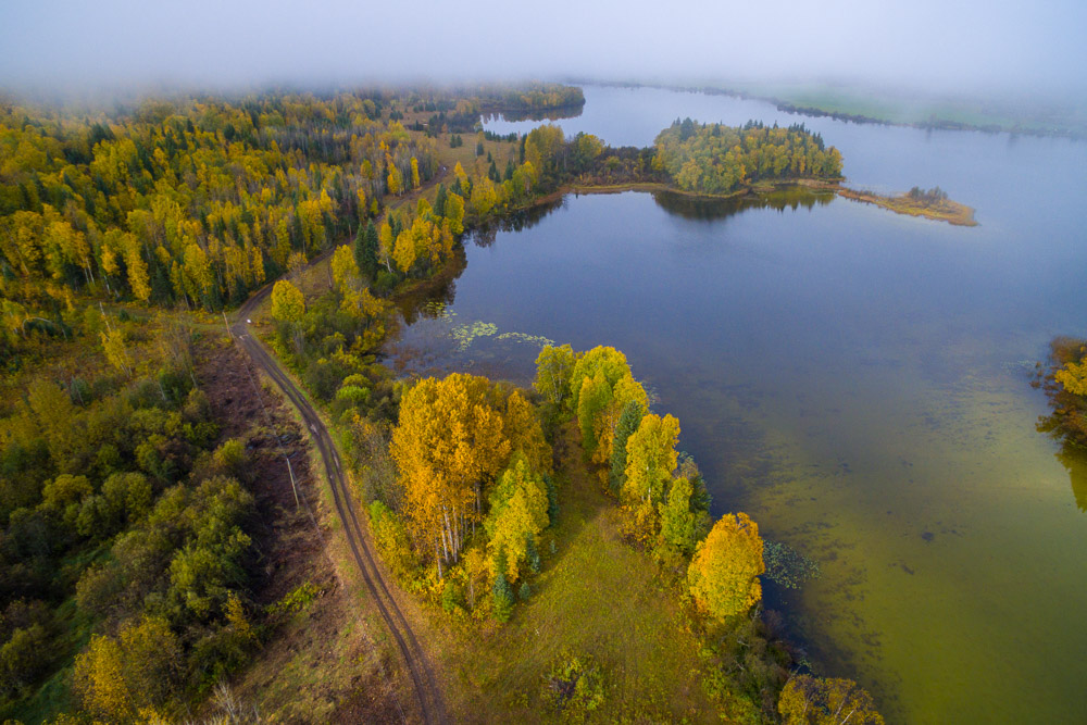 A trail by the Quesnel River in Autumn.