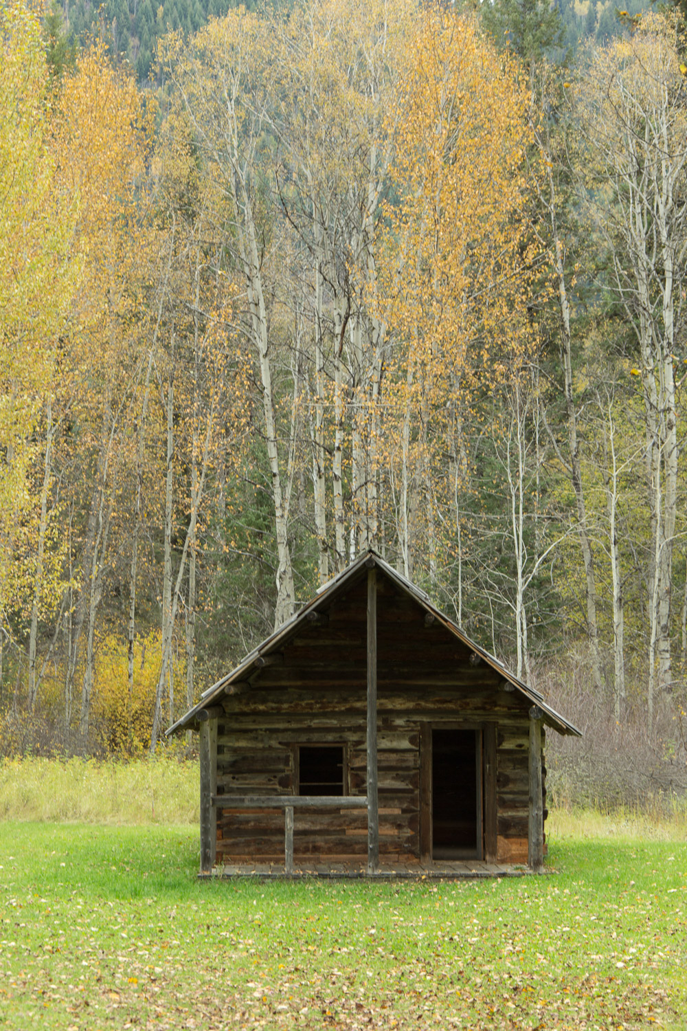 An abandoned Gold town in the Cariboo Mountains