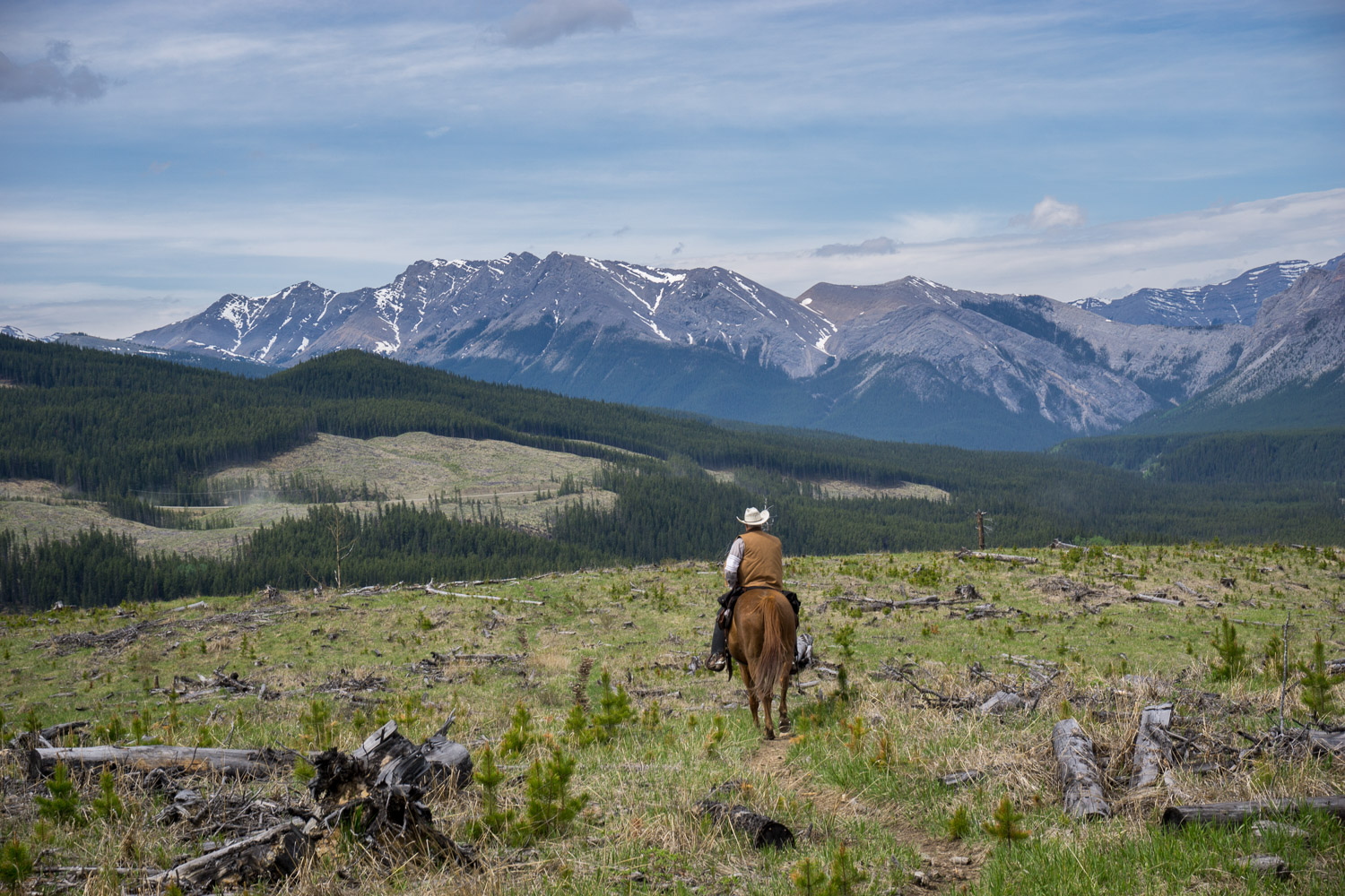 Sunset Guiding Trail Ride - Merle