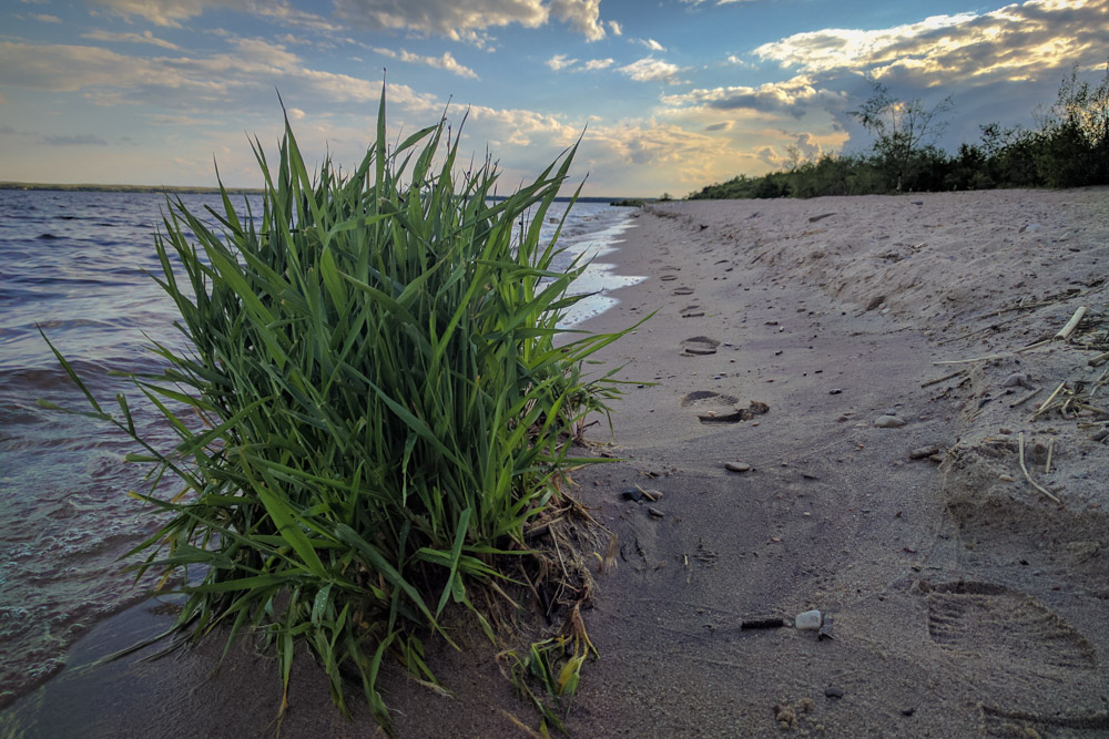 Beach-Sir-Winston-Churchill-Campground