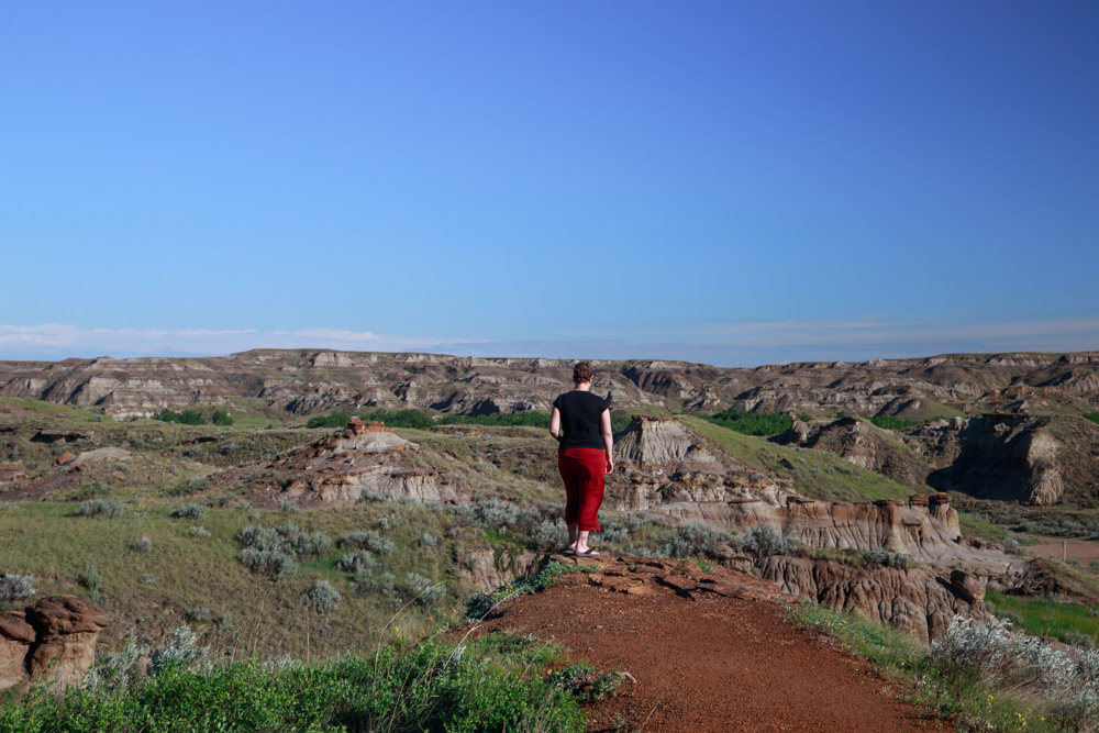 Dinosaur-Provincial-Park-Lookout